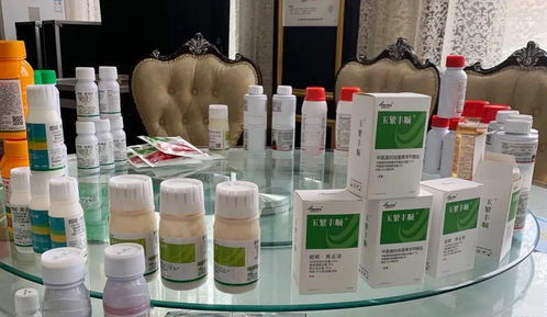 專業(yè)方案,更優(yōu)選擇 河南瀚斯夏季除草劑產(chǎn)品技術(shù)培訓(xùn)會(huì)山東曹縣專場圓滿召開