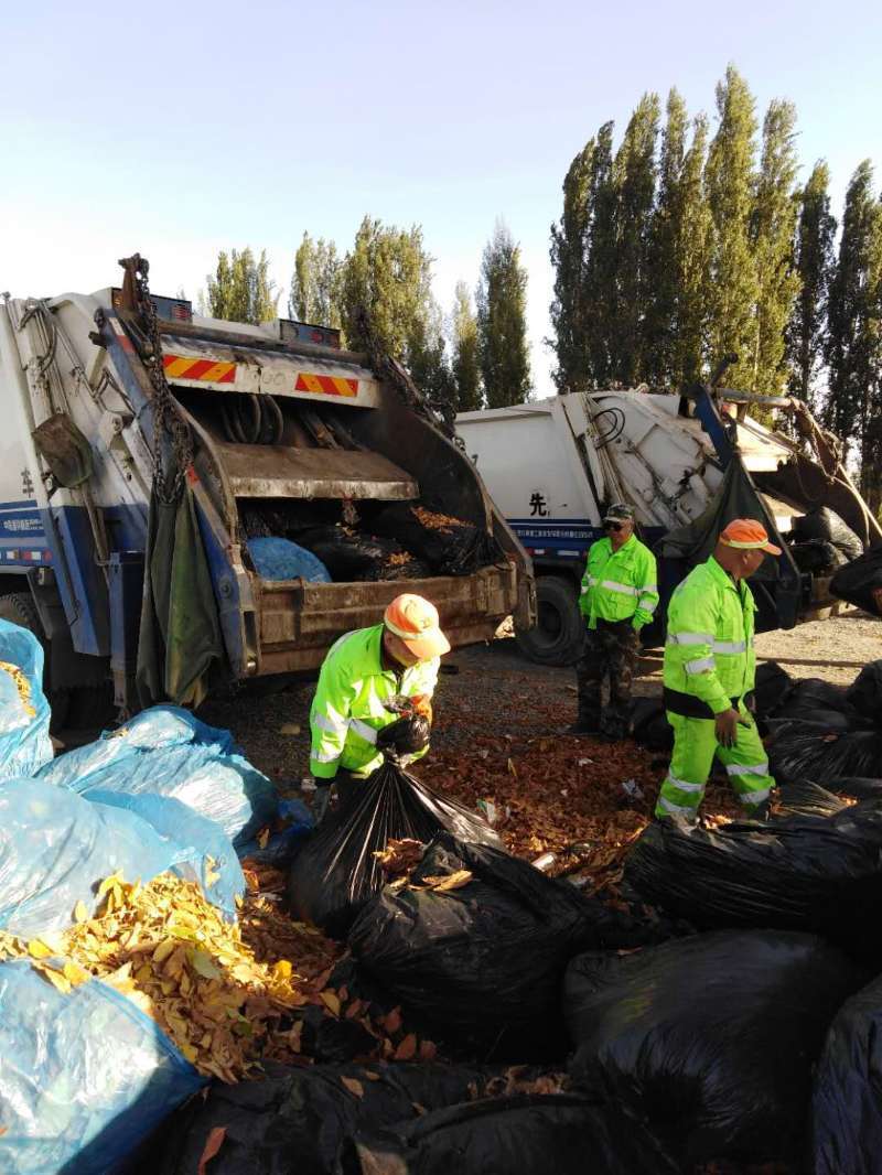 凈化城市環(huán)境 喜迎元旦佳節(jié)